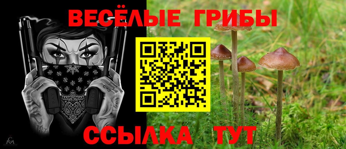 Галлюциногенные грибы Cubensis Волхов